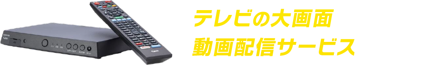 テレビの大画面動画配信サービス